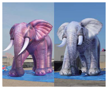 Inflatable Elephant | Custom Inflatable Manufacturer & Supplier | BTCOOPS