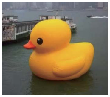 Inflatable Yellow Duck | Custom Inflatable Manufacturer & Supplier | BTCOOPS
