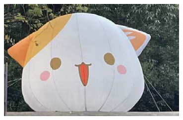 图片41.png