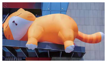 图片56.png