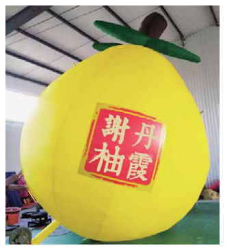 Inflatable Grapefruit | Custom Inflatable Manufacturer & Supplier | BTCOOPS