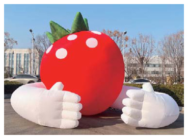 Inflatable Orange Display | Custom Inflatable Manufacturer & Supplier | BTCOOPS