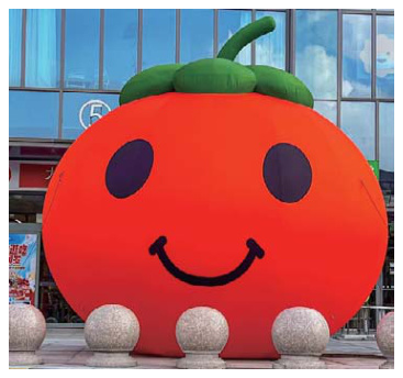 Inflatable Pumpkin | Custom Inflatable Manufacturer & Supplier | BTCOOPS