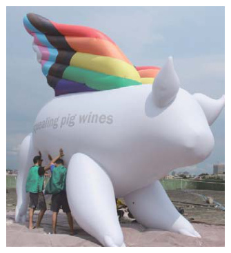 Inflatable Pig Decoration | Custom Inflatable Manufacturer & Supplier | BTCOOPS-2,图片205.png