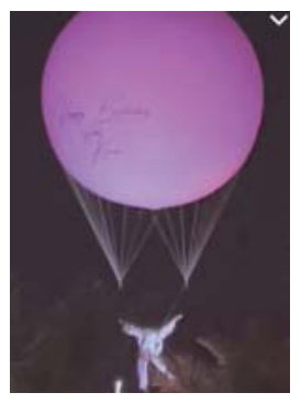Promotional Balloon Art | Custom Inflatable Manufacturer & Supplier | BTCOOPS-1,图片215.png